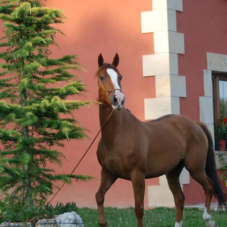 Fontibre Casucas La Guarizaヴィラ エクステリア 写真